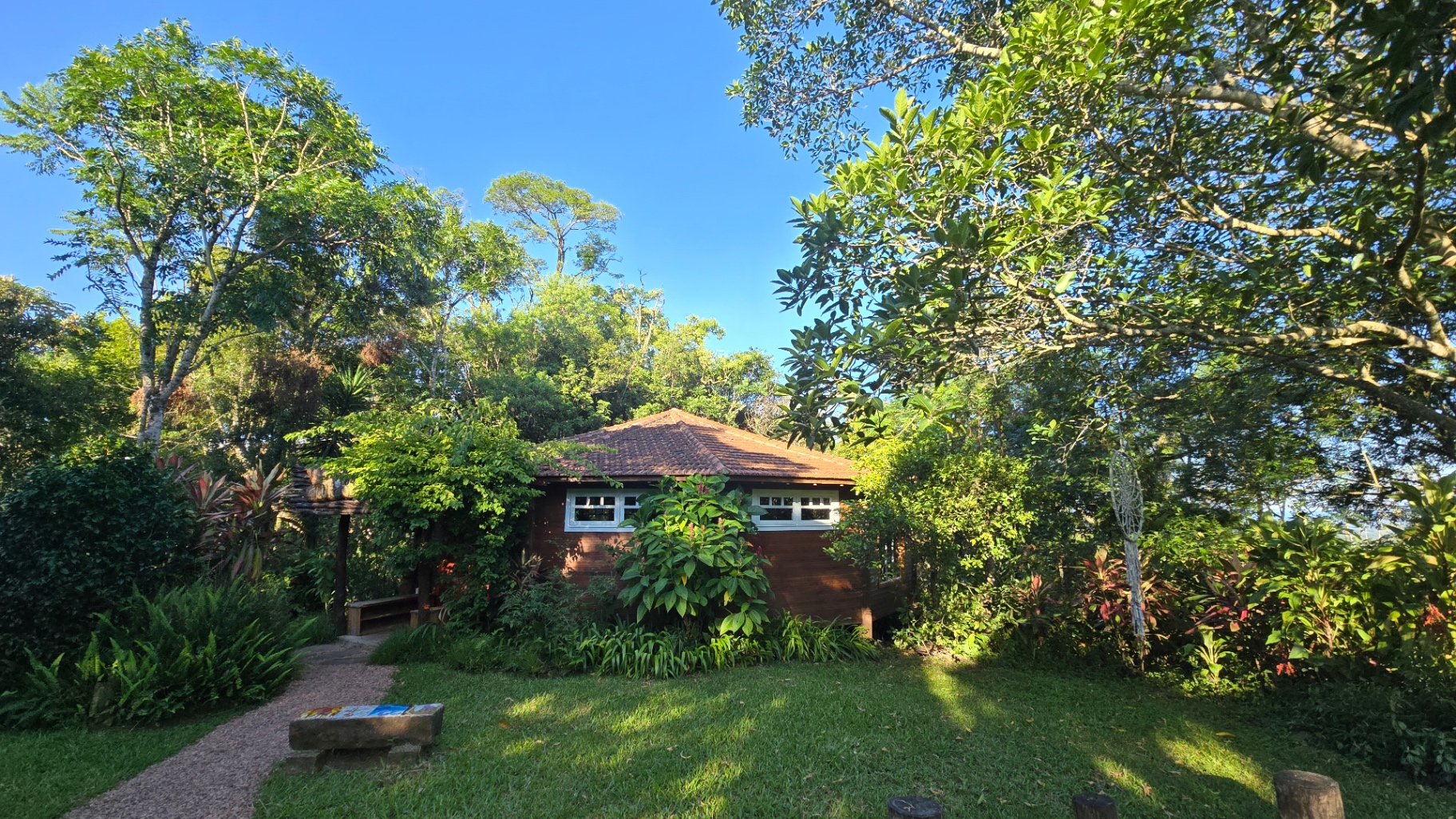 Cabana de madeira em meio à mata